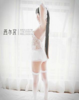 掌中之物动漫200集全_DVD动漫在线观看